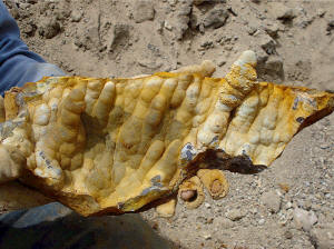 Detail of the chiseled out stalactite plate.