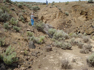 Gene Stewart checking out his old Graveyard Claim now filled in with silt.