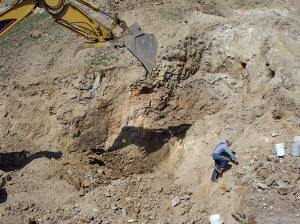 Gene digging up some more plume with Jake spotting.