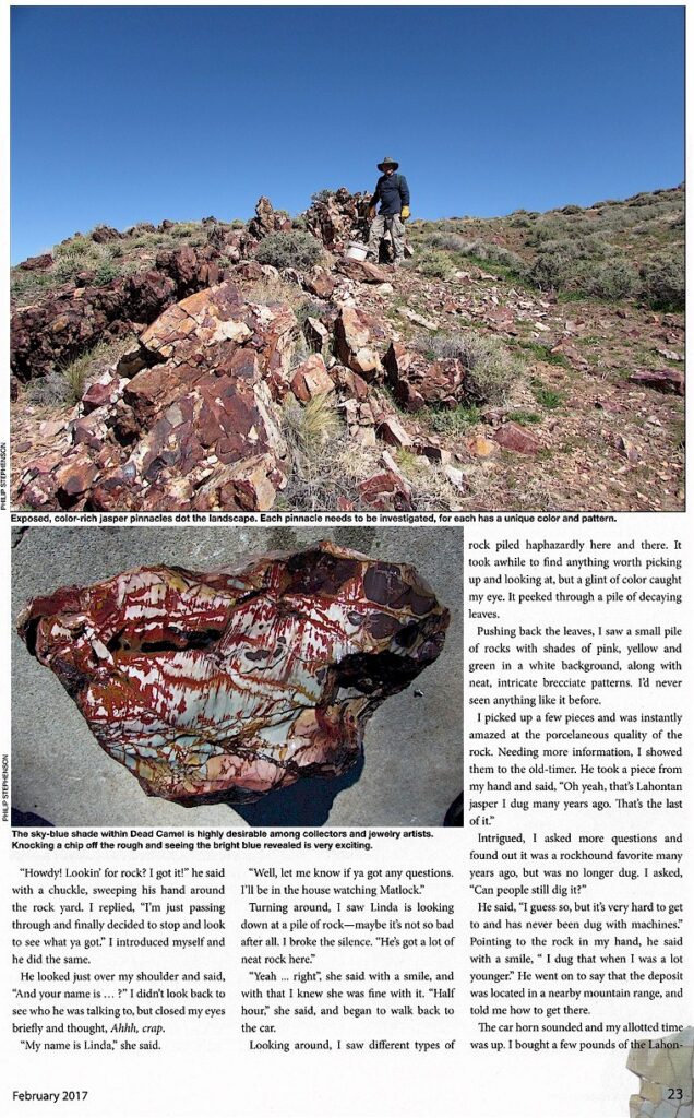 Dead Camal Jasper Article