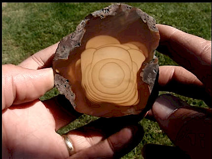 I am holding a jasper that is dark and light brown.