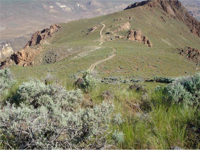 View From The Top Of The Rim