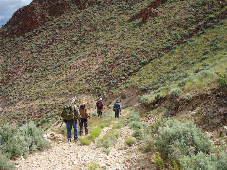 The group walking the rest of the way.